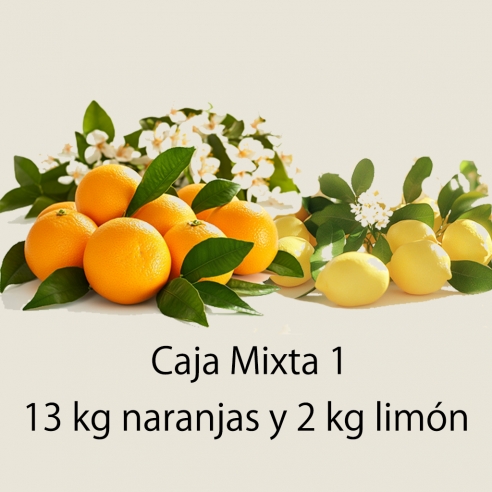Compra Caja Mixta 1 de 15 kg - Naranjas y Limones